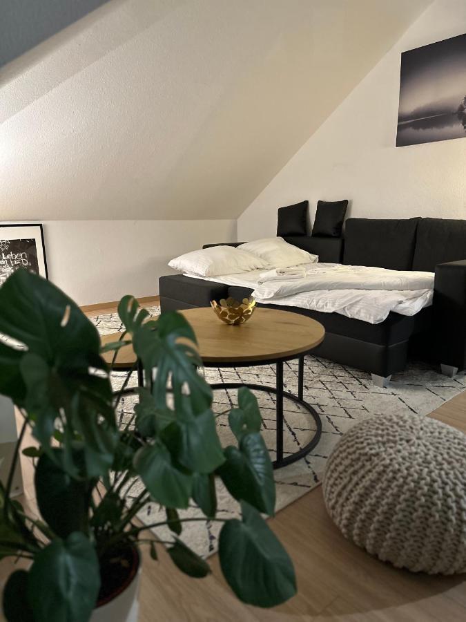 Oasis Appart - Wohnen Am Elbtal - Balkon - Netflix - Tiefgarage Dresden Exterior photo